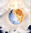 Orchidée Impériale - The Foam In Cream