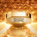 Abeille Royale - Honey Treatment Day Cream