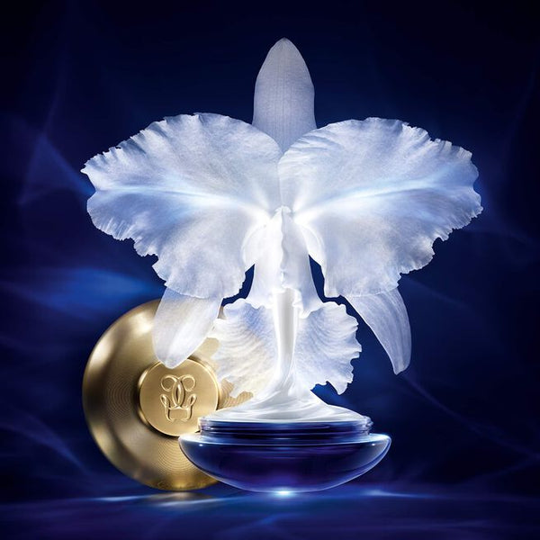 Orchidée Impériale