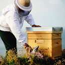 Abeille Royale - Cleansing Oil Anti-Pollution